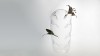 PUNK.Flowers holder, in particular for lilies. <br />Height  450mm. <br /><br />Photographic credit : Xavier Nicostrate. - Laurence Brabant Alain Villechange